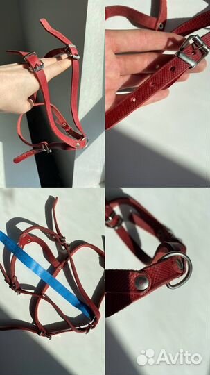 Комбинезон для собаки жилетка шлейка