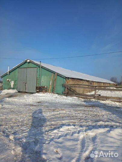 Молочная ферма