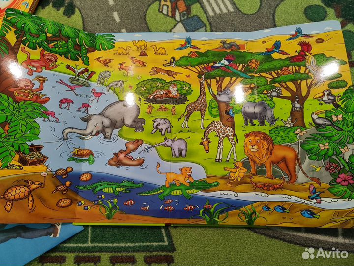 Виммельбух найди узнай покажи животные