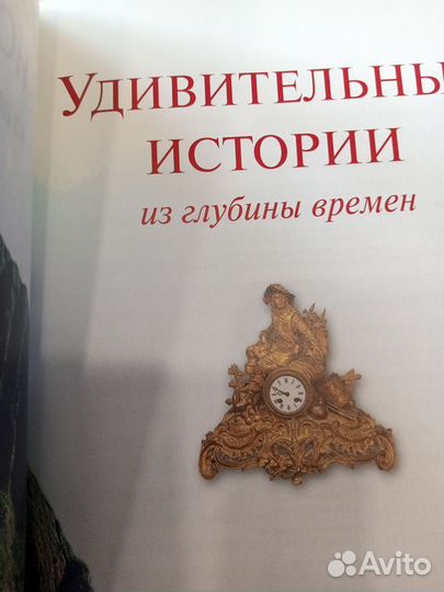 Книга Удивительные истории из глубины времен