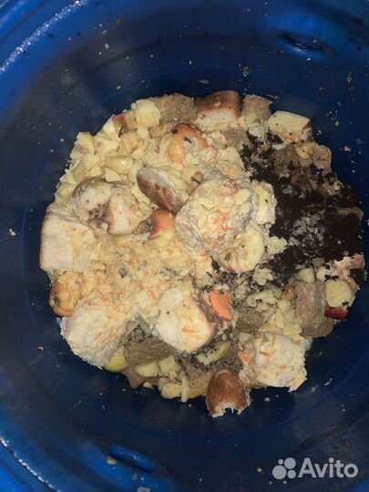 Отходы с садиков, корм для животных