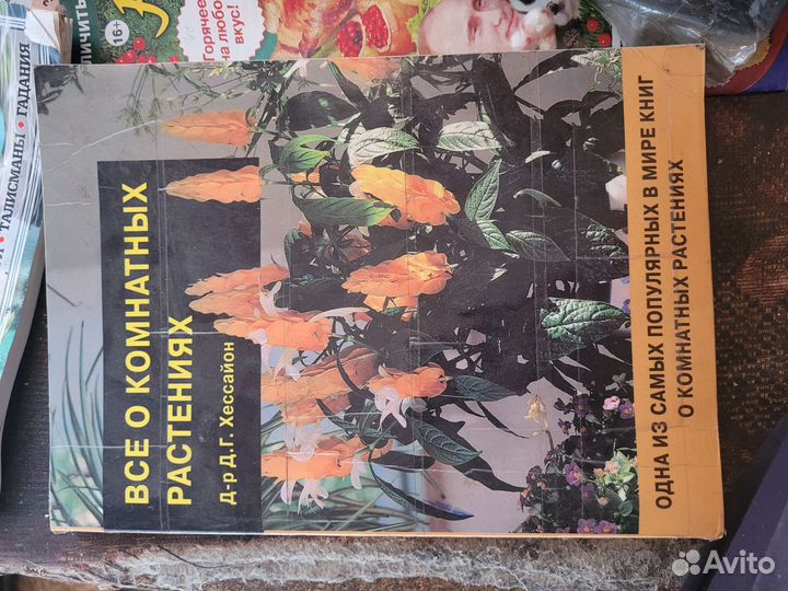 Все о комнатных растениях