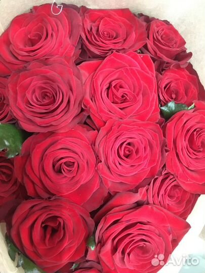 Розы оптом