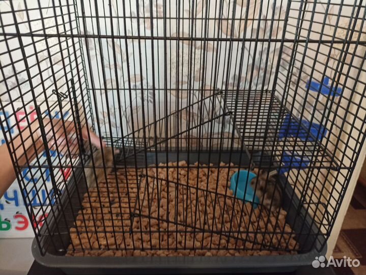 Клетка для джунгарского хомяка+2 хомяка