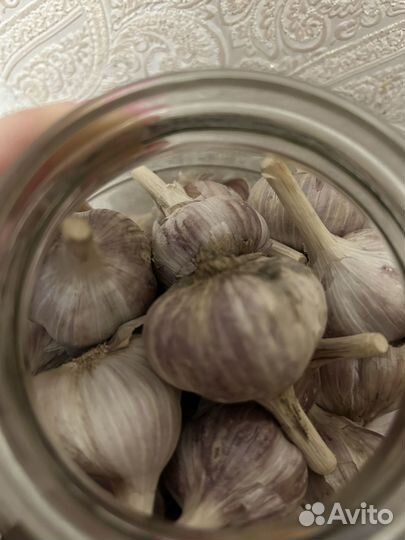 Продам чеснок