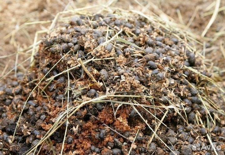 Навоз кролика