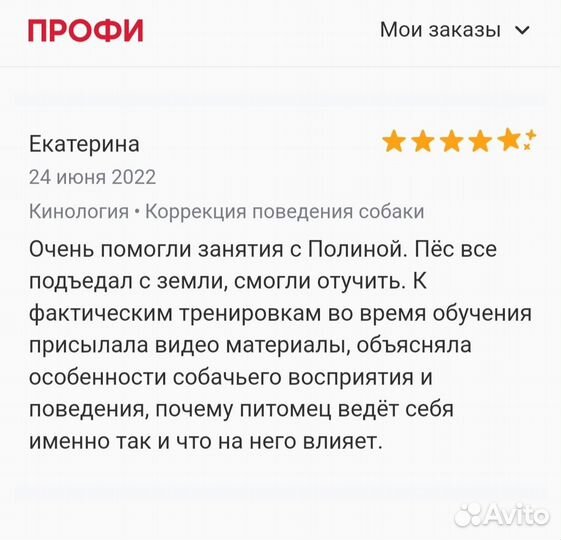 Дрессировка собак с кинологом, групповые занятия