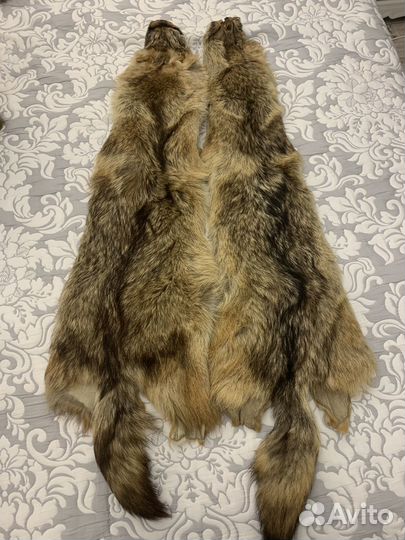 Шкурки лисьи целые