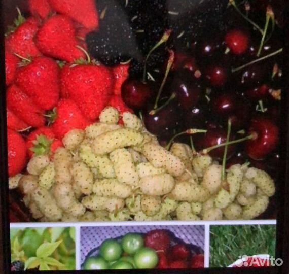 Работа продавец