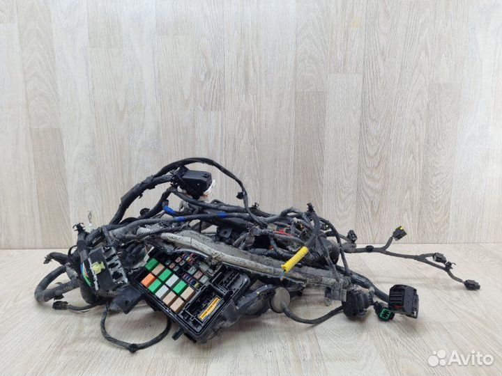 Проводка подкапотная Kia Rio