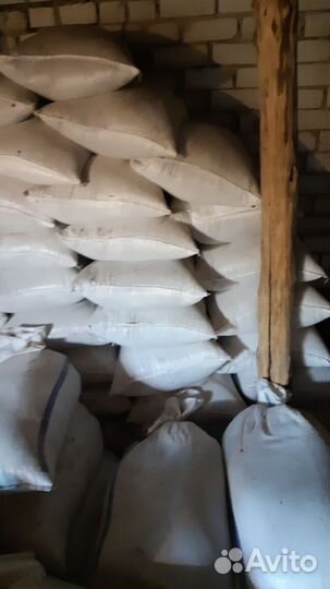 Пшеница, ячмень, овес, зерноотход в мешках