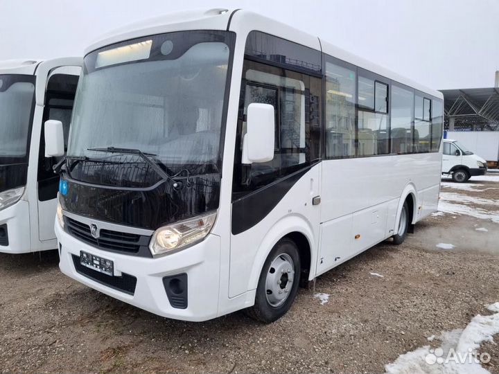 Городской автобус ПАЗ Вектор Next, 2024