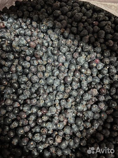 Ирга свежемороженная