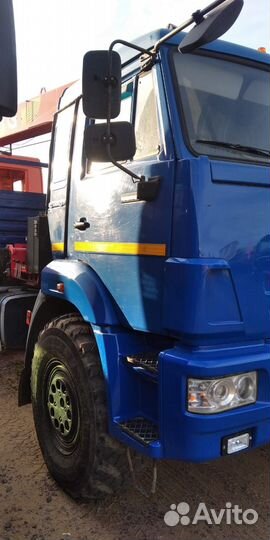 КамАЗ 43118-011-10 с КМУ, 2017