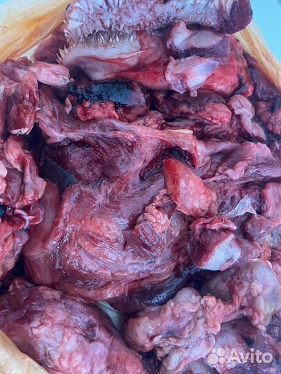 Подъязычный срез (мясо для собак)