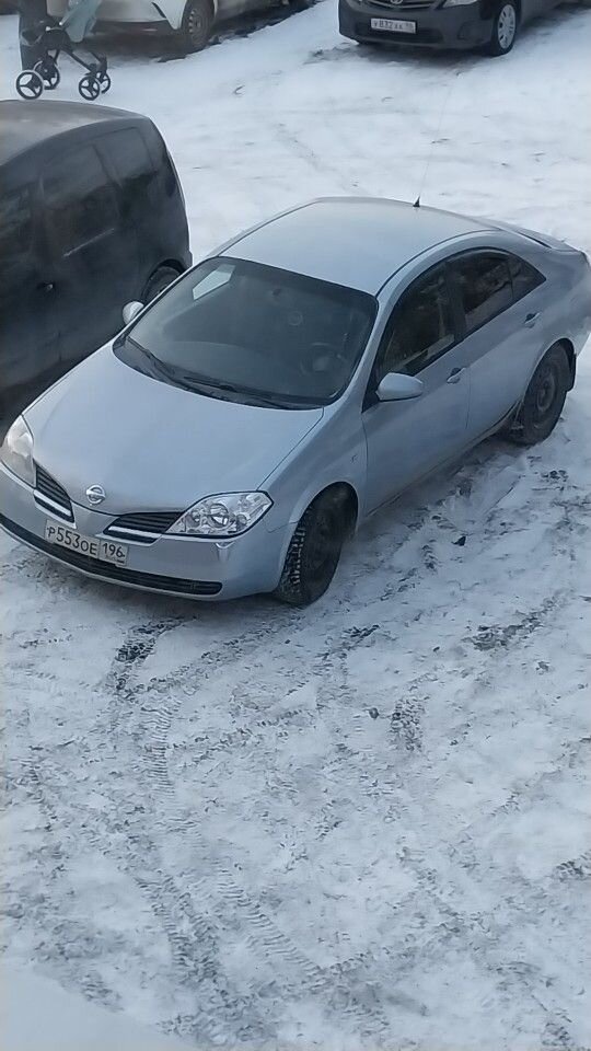 Nissan Primera: фото владельца