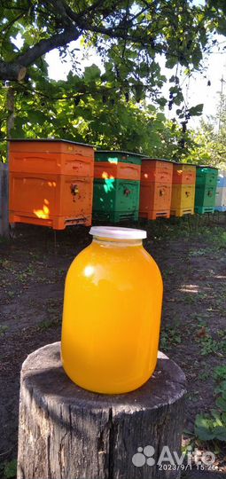 Мёд, 3 литра (доставка по городу)