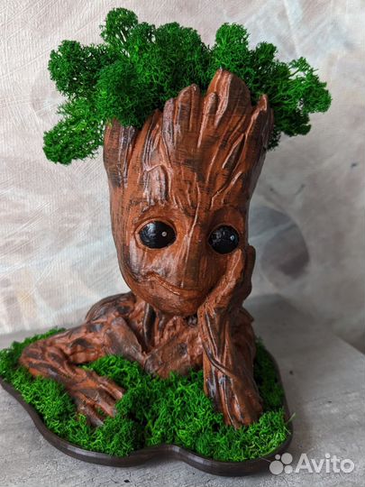 Кашпо со мхом