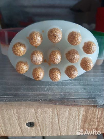 Мыло ручной работы