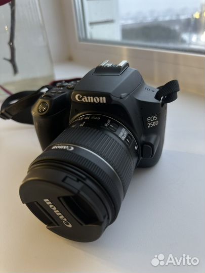 Фотоаппарат canon eos 250d