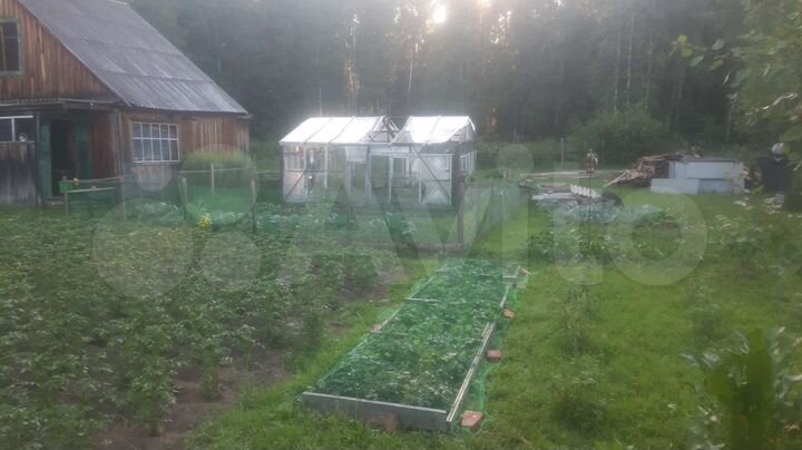 Участок 11 сот. (СНТ, ДНП)