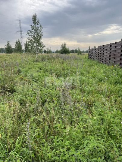 Участок 12,5 сот. (ИЖС)
