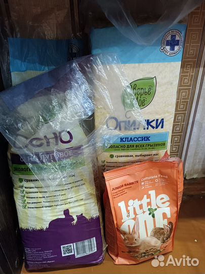 Декоративный кролик