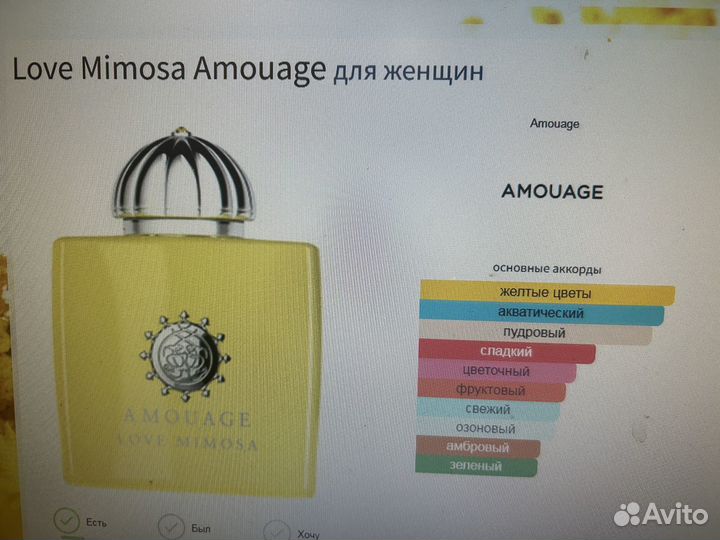 Love Mimosa Amouage для женщин