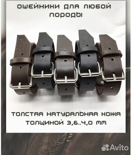 Ошейник для собак цельная кожа