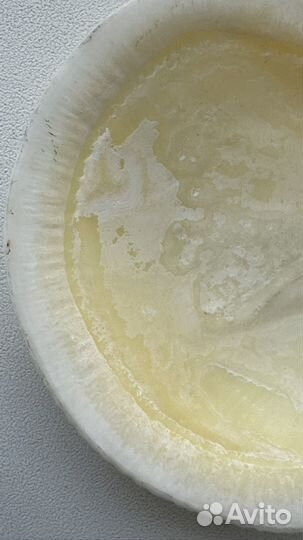 Морская ракушка