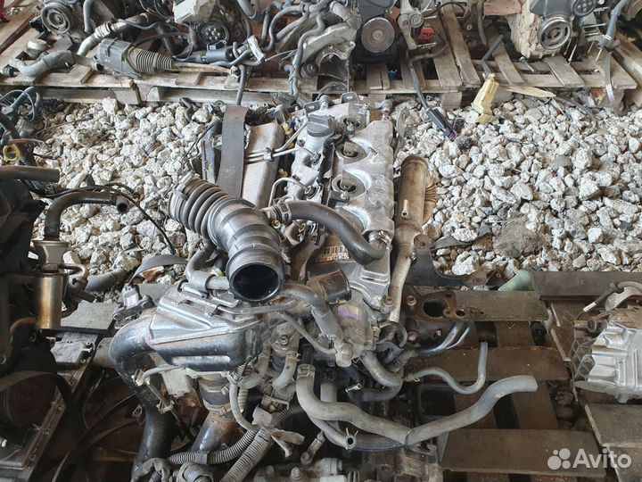 Двигатель E1CD Toyota Avensis T25 V-2.0D