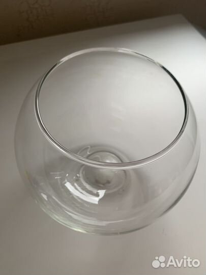 Аквариум 3л с кормом и водорослями