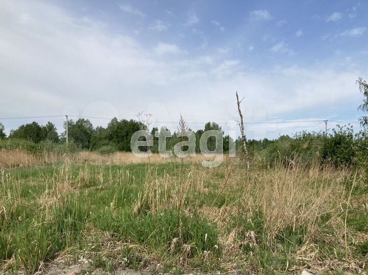 Участок 10,4 сот. (СНТ, ДНП)