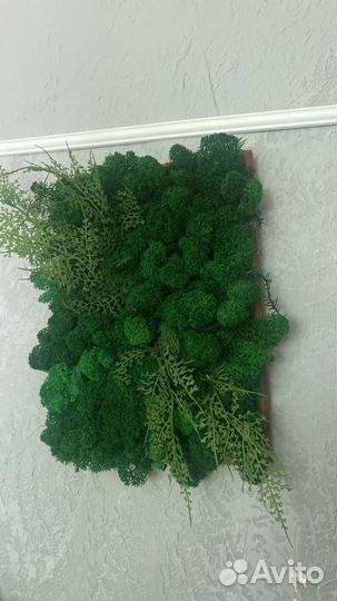 Панно из мха