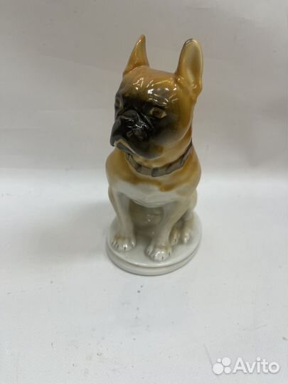 Фарфор бульдог