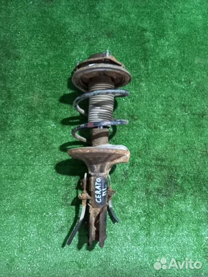 Амортизаторы передние Kia Cerato 2004-2008