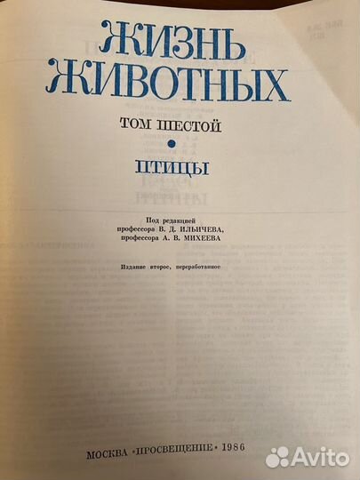 Жизнь животных Птицы