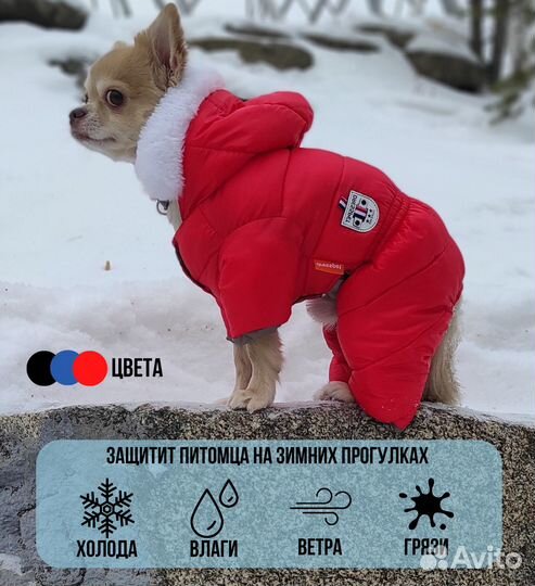 Зимний комбинезон для маленькой собачки