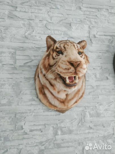 Чучело. Ручная работа