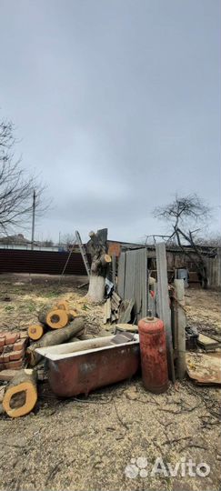 Спил деревьев