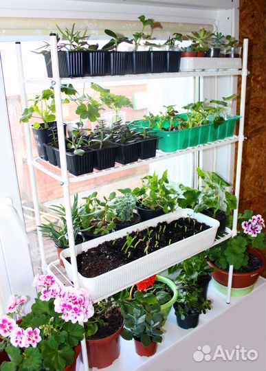 Подставки для цветов и рассады на окно (9 видов)