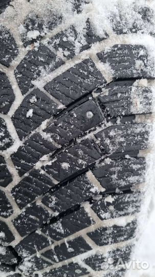 Gislaved Nord Frost 200 205/55 R16 94T