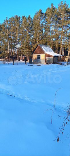 Участок 55 га (СНТ, ДНП)
