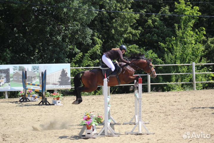 Конные тренировки