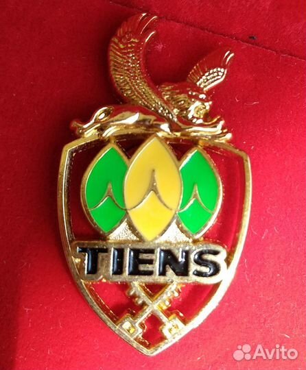 Редкий Значёк корпораци тяньши