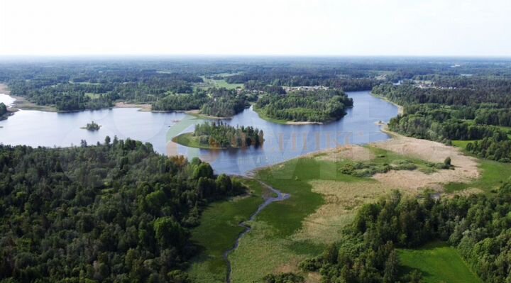 Участок 10 сот. (ИЖС)