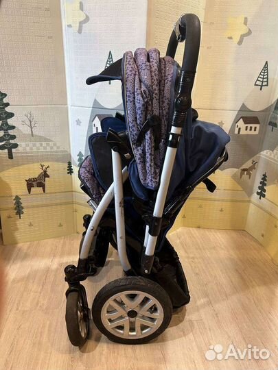 Capella Сибирь S-803