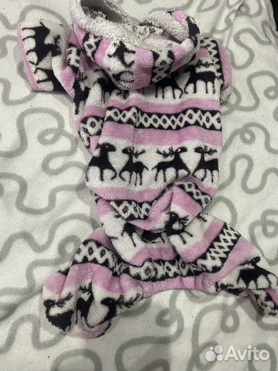 Одежда для собак мелких пород пакетом