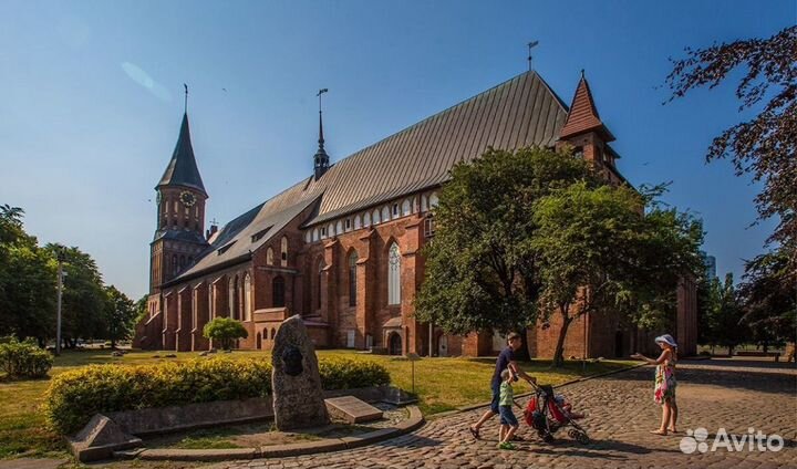 Тур в калининград, путешествие и отдых на море