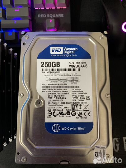Western digital 250 gb